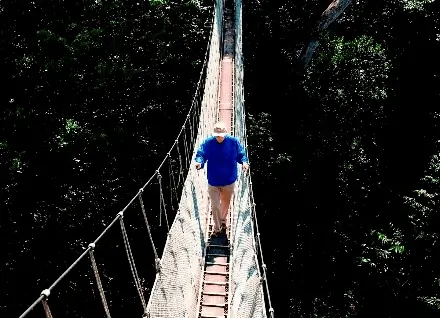 Caminatas Nocturnas, Canopy Walk y Safari en Río - 1